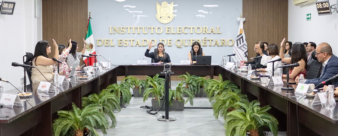 Boletín número 24
