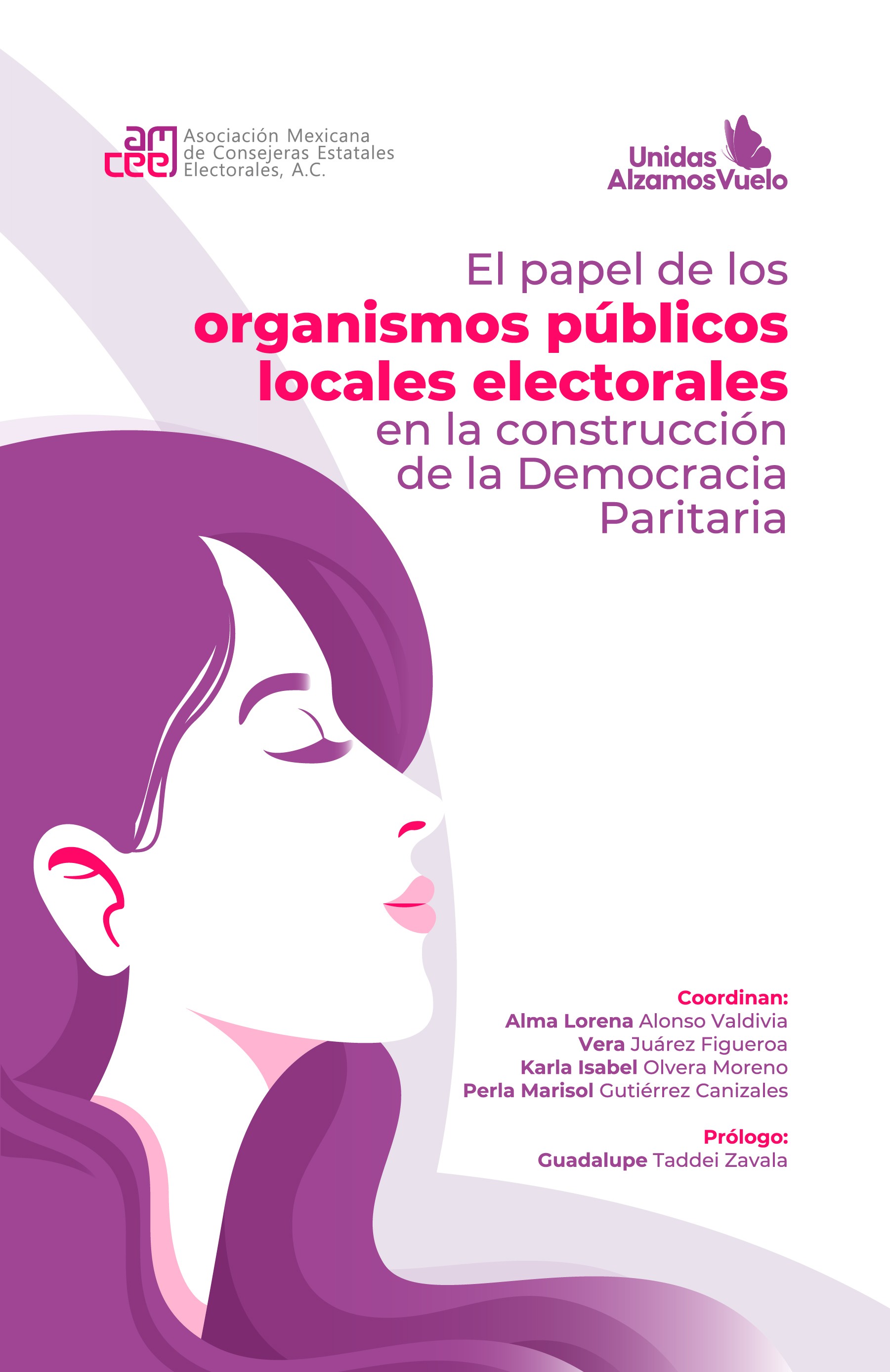 El papel de los organismos públicos locales electorales en la construcción de la Democracia Paritaria