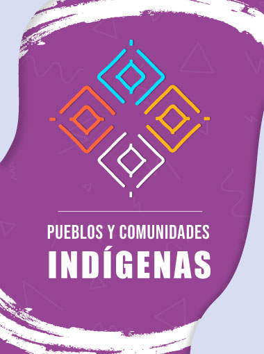 Información sobre acciones del IEEQ en materia de pueblos y comunidades indígenas, (sistema normativo, organización, aspectos culturales y sociales).